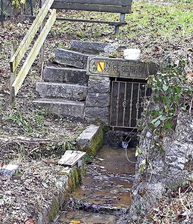 Das Regenbrnnle wurde einst als Ausgleichsflche angelegt.  | Foto: Verena Pichler