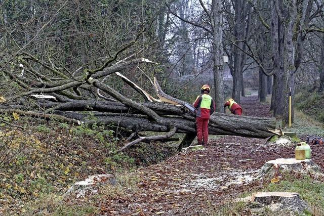 Fllarbeiten im Erletal