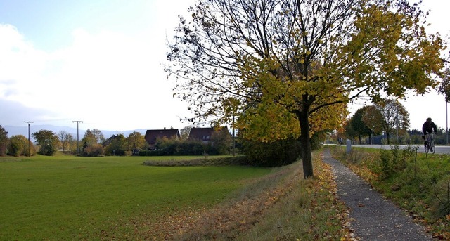 Noch Wiese, bald Baugebiet fr 160 Men...as &#8222;Elzmttle&#8220; in Wasser.   | Foto: Gerhard Walser