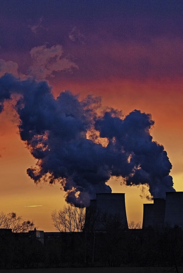 Qualmend in den Untergang: Der Mensch ist eine tdliche Naturgewalt.  | Foto: Patrick Pleul (dpa)