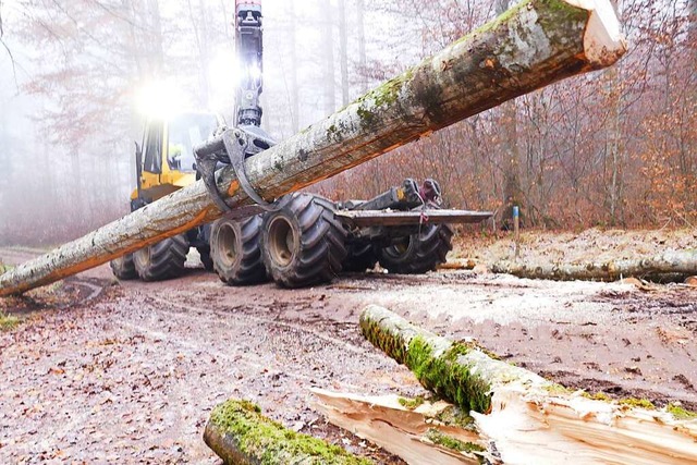 Kraftakt: Bis zu 1500 Bume werden der...chweres Gert kommt dabei zum Einsatz.  | Foto: Andr Hnig