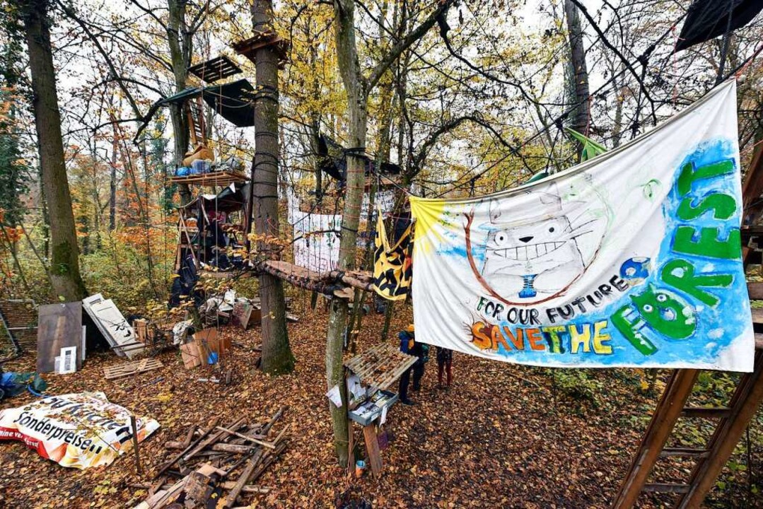 Im Langmattenwldchen haben Aktivisten Baumhuser und Transparente aufgehngt.  | Foto: Thomas Kunz