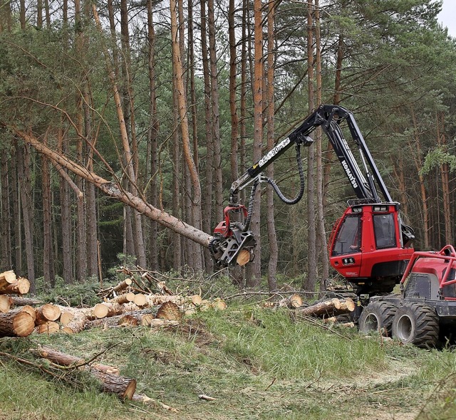 Auch per Vollernter wird das Schadholz aus dem Hartheimer Wald geholt.  | Foto: Bodo Marks