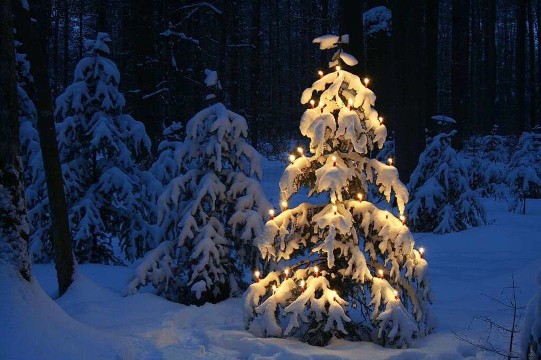 Schnee wird an Weihnachten gern gesehen.  | Foto: Phimak  (stock.adobe.com)