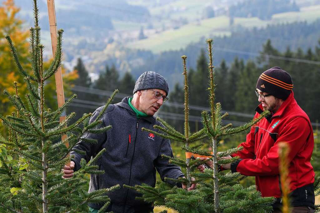 Was den BilligWeihnachtsbaum vom Regionalen unterscheidet Lenzkirch