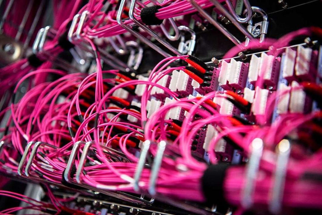 Glasfaserkabel stecken in einem Netzwerk-Switch.  | Foto: Matthias Balk (dpa)