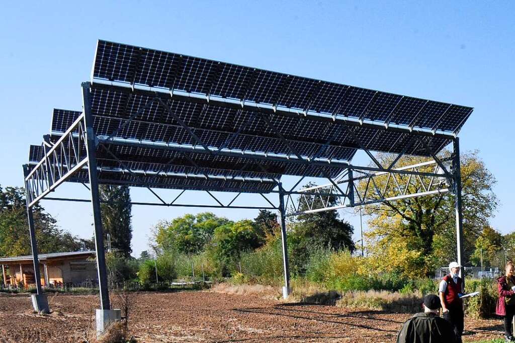 Sun for the vines – and at the same time for solar power – District of Breisgau-Hochschwarzwald