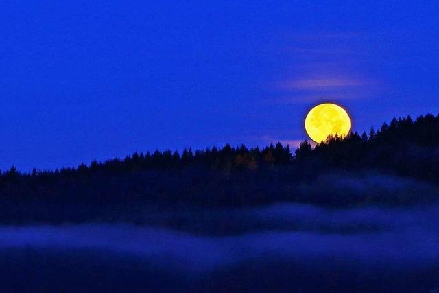 Monduntergang im Dreisamtal