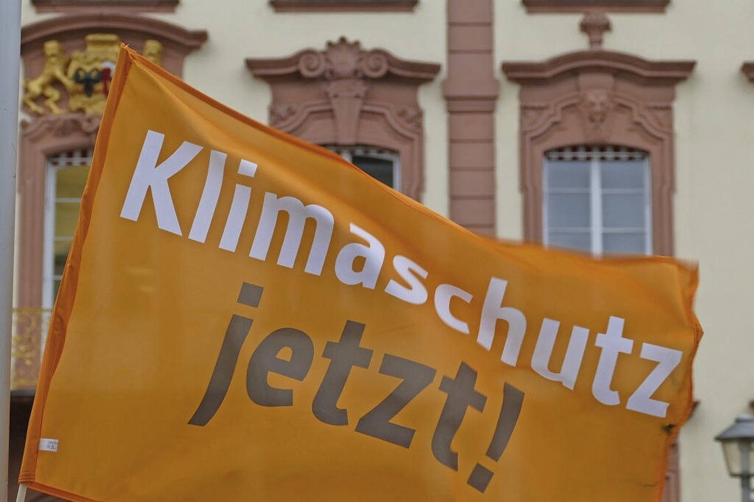 Die Stadt Offenburg hat sich Klimaschutz auf die Fahne geschrieben.   | Foto: Helmut Seller