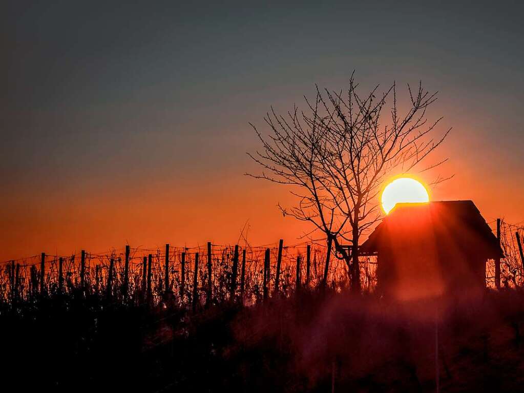 Die Sonne geht hinter dem Sexauer Rebberg unter. Der Bodennebel kriecht ber die Anhhe und verdeckt schon die Rebstcke. Das „Rebhisle“ steht verlassen da. Irgendwie eine einsame Szene, eingefangen von Paul Trenkle.