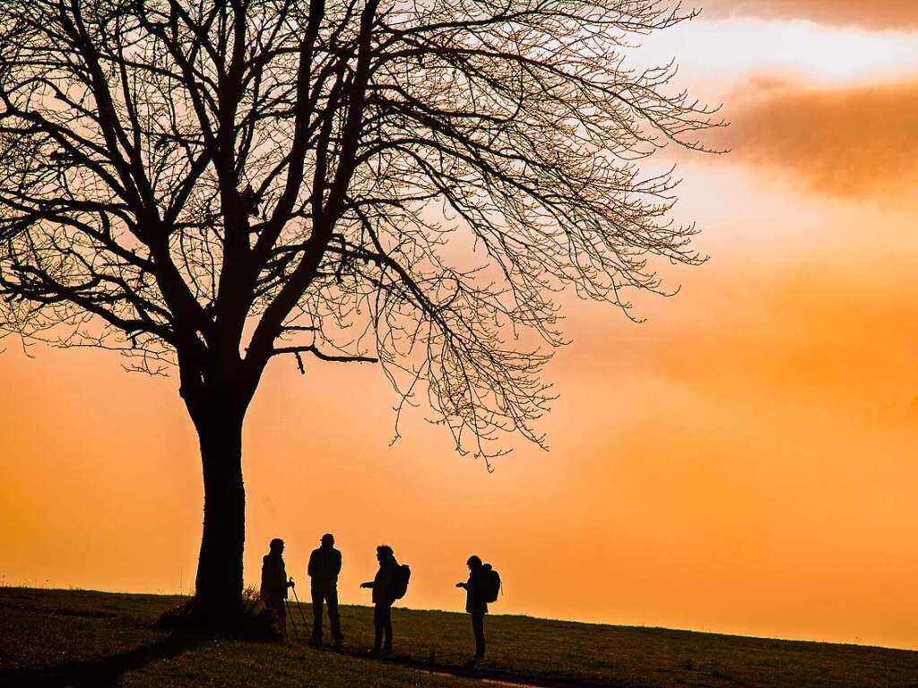 Viele Menschen genossen eine Wanderung am Scheerberg in Freiamt, hier eingefangen von Paul Trenkle.