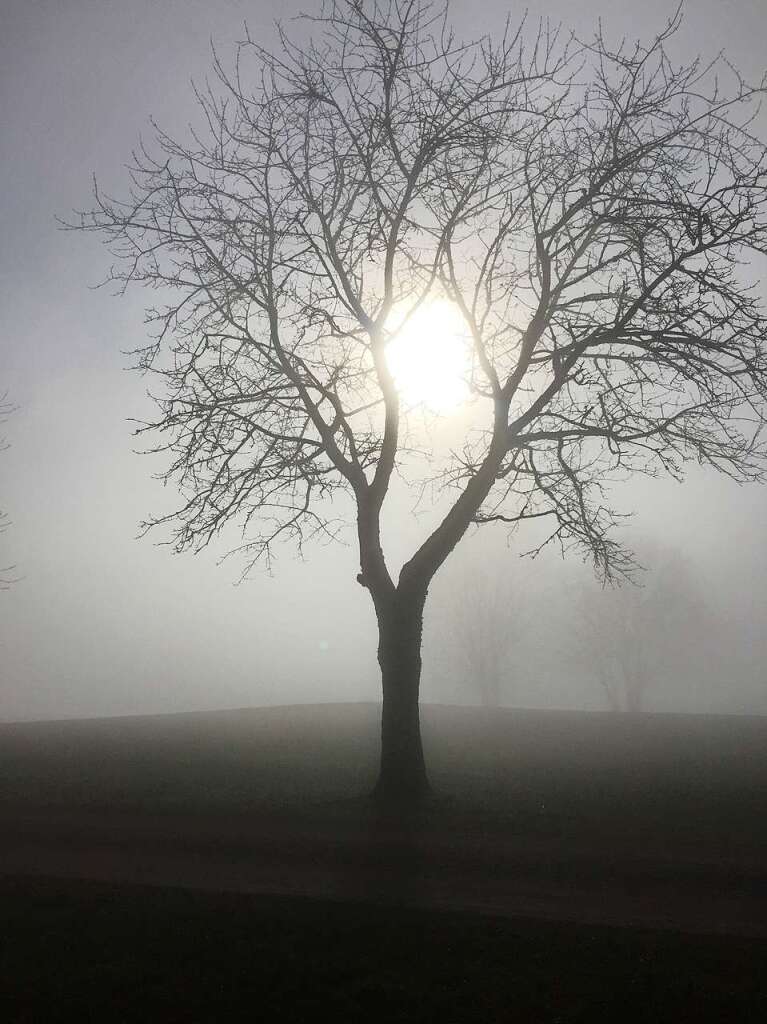 Im November prgen graue Farbtne und milchig-bleiches Sonnenlicht oft die Stimmung. Diese fing Klaus Paschke bei einer Wanderung auf dem Hnersedelrundweg mit seiner Kamera eingefangen.