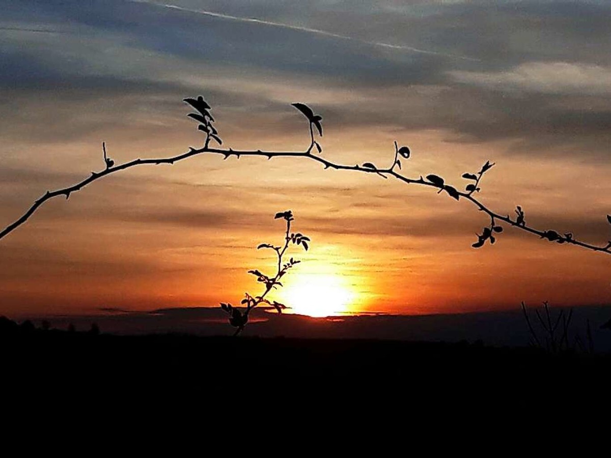 In feuriger Stimmung zeigte sich der Herbsthimmel ber den Vogesen fr Angelika Vogelbacher.