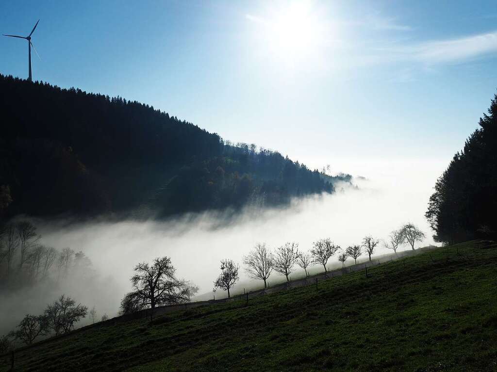 Und immer wieder wird der Nebel zum Objekt der Fotografinnen und Fotografen, hier bei Cornelia Stein.