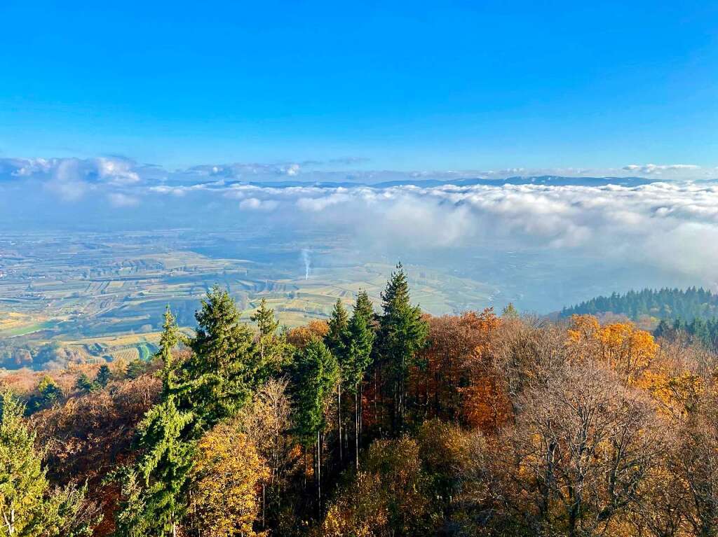 Der schon leicht verschneite Schwarzwald bildet den Hintergrund fr eine tolle Kulisse am Eichspitzturm, schreibt uns Birgit Schweizer.