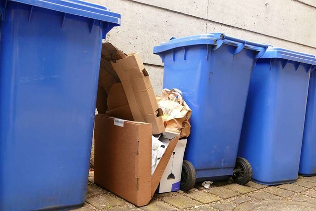 Landrtin Marion Dammann stellt die de...vaten Entsorger in Frage (Symbolfoto).  | Foto: Maurice Mommer