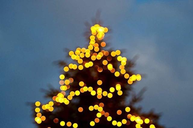 Unbekannte zerstren Weihnachtsbaumbeleuchtung in Freiburg-Littenweiler