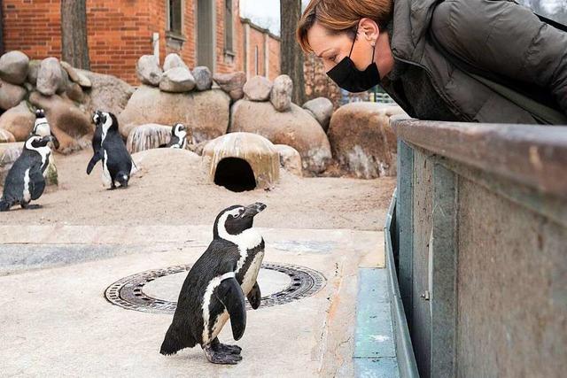 Stuttgarter Zoo erhält 7,5 Millionen Euro aus Corona-Rettungsschirm
