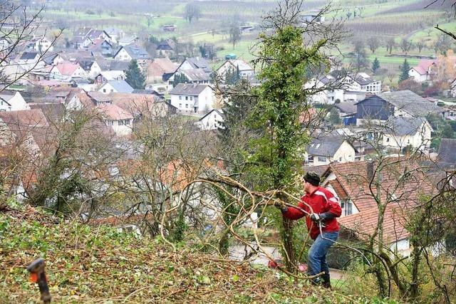 Wie der Landschaftsentwicklungsverband im Kreis Lörrach Naturschutz leistet