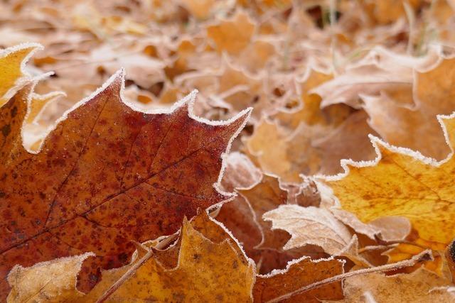 Fotos: So sch�n ist der November