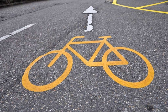 Der Districtsrat des trinationalen Eur...zung mit dem Radwegenetz (Symbolfoto).  | Foto: Daniel Gramespacher