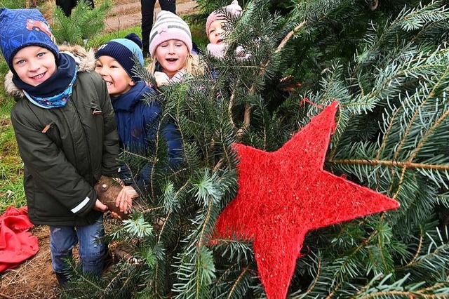 Weihnachtsbaum kaufen und schmcken? Eine super Kinder-Beschftigung.  | Foto: Bernd Settnik (dpa)