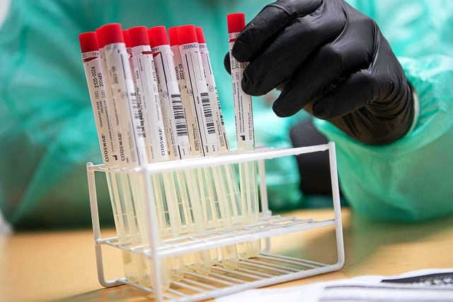 Proben fr einen PCR-Test werden von e...beiter im Corona-Testzentrum sortiert.  | Foto: Sina Schuldt (dpa)