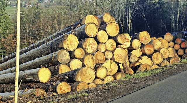 Von einer planmigen Wirtschaft im   ...estmetern wurde deutlich  bertroffen.  | Foto: suedkurier