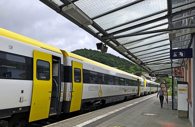 stlich von Waldshut, wie hier in Tiengen, fordert der VCD zwei Gleise.  | Foto: Schlichter, Juliane