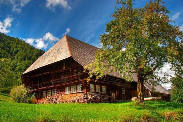 Familie verleiht ihr Schwarzwaldhaus für einen Filmdreh
