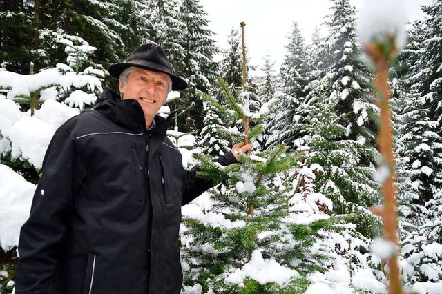 Bernhard Kaltenbach baut auf 3,5 Hektar Flche in Wildtal Weihnachtsbume an.  | Foto: Sebastian Heilemann
