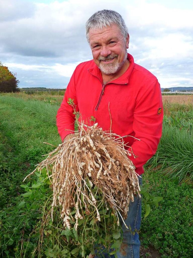 Otmar Binder mit Knollenziest auf dem Feld in Forchheim  | Foto: Katja Ruhardt