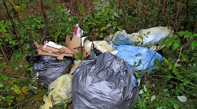 Dieser private Abfall landete einfach im Wald, wie diese Aufnahme belegt.  | Foto:  Peter Schtz