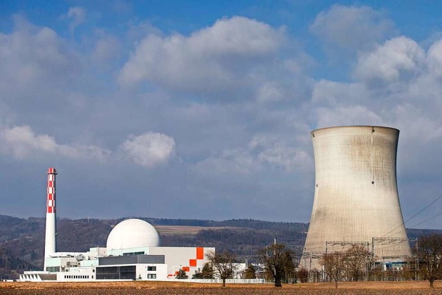 Das schweizerische Kernkraftwerk Leibstadt nebst Khlturm  | Foto: Alexandra Wey (dpa)