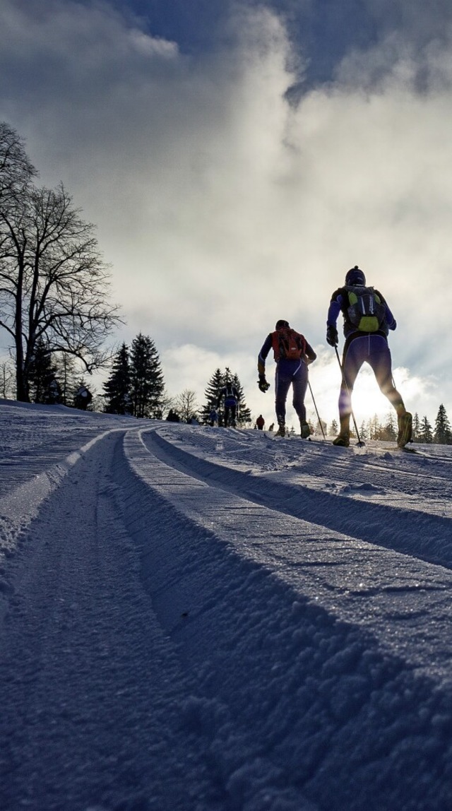 ber  g&#8217;fhrige Spuren im Schwar...ein ganz besonderes Abenteuer wartet.   | Foto: arge skiwanderwege