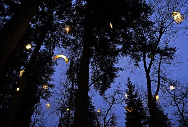 Leuchtendes Buchenbrndle. Noch bis En...npfad im Energieerlebnispark zu sehen.  | Foto: Albert Josef Schmidt