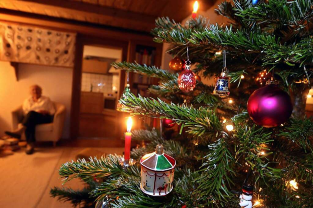 Tipps f�r den Weihnachtsbaum