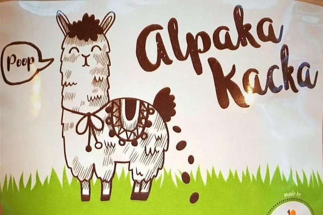 Mal was anderes: Alpaka-Kacka aus dem Zastlertal