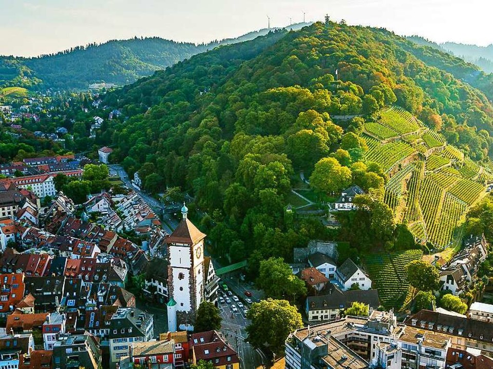 Luftaufnahme vom Freiburger Schlossberg  | Foto: David Lohmueller