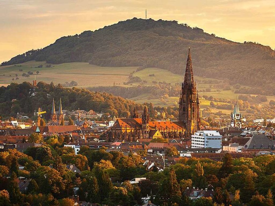 Blick über Freiburg von der Eichhalde  | Foto: David Lohmueller