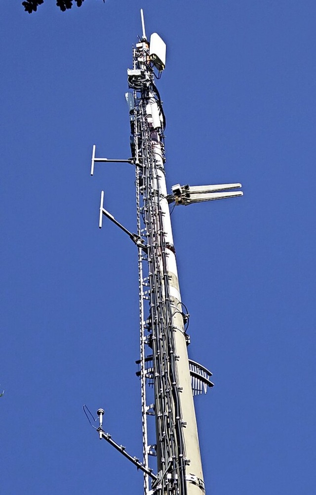 So oder hnlich knnte einmal der Funkmast in Harpolingen aussehen.  | Foto: Sylvia-Karina Jahn