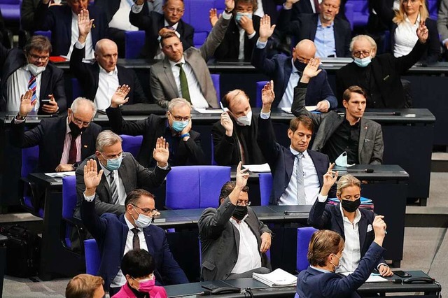 Abgeordnete der AfD bei der Abstimmung...r Sitzung im Bundestag Anfang Dezember  | Foto: Kay Nietfeld (dpa)