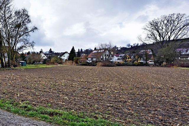 Waltershofener Ortschaftsrat verlangt von der Stadt einen Zeitplan fr Niedermatten