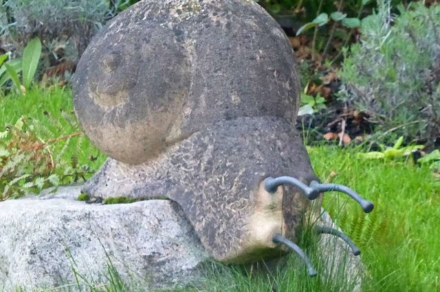 Eine Schnecke aus Stein, die schon etw...in einem Garten in Pfaffenweiler wohnt  | Foto: Andrea Gallien