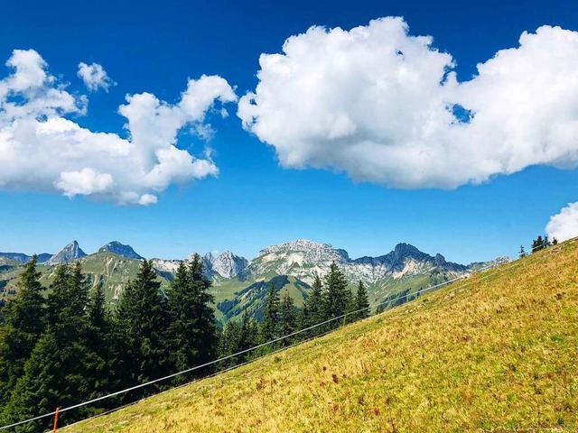 Endlich wieder Urlaub in Sicht?  | Foto: Ronja Vattes