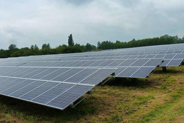 Der geplante Solarpark in Fröhnd sorgt bei einem Landwirt für Existenzangst