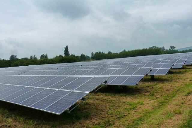 In Frhnd soll ein Solarpark entstehen...r in Vogtsburg am Kaiserstuhl besteht.  | Foto: sattelberger