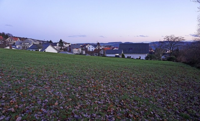 Etwa 500 Quadratmeter gro sollend die...erben, erschlieen und dann verkaufen.  | Foto: Hans-Jrgen Sackmann