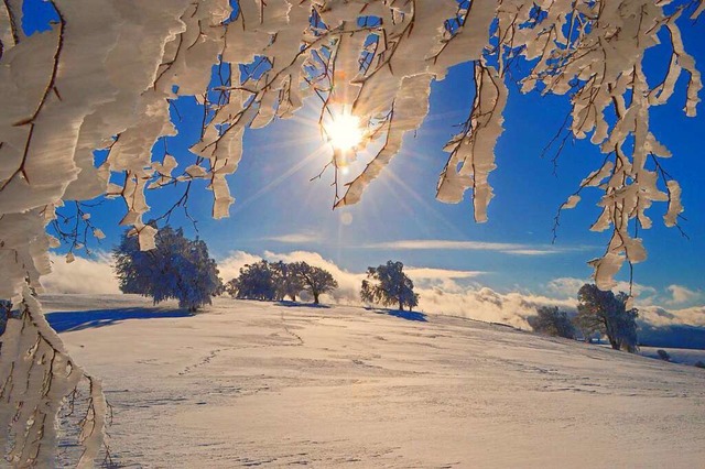 Winter auf dem Schauinsland.  | Foto: Billharz Wilhelm