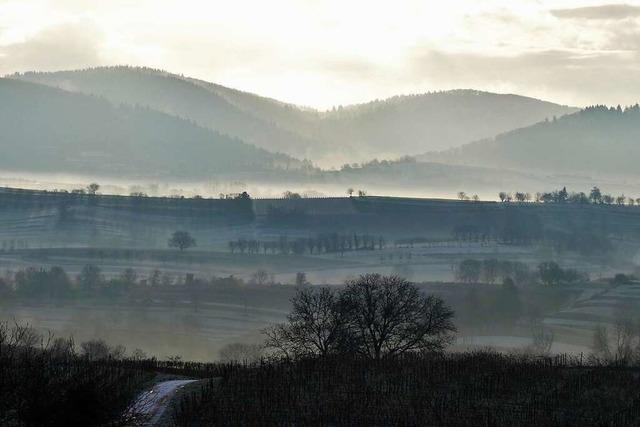 Nebel in Ettenheimweiler